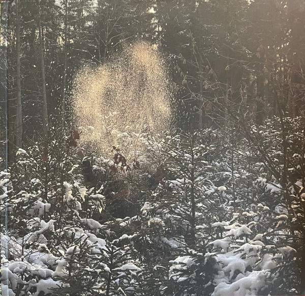 Skee Mask - Pool | Ilian Tape (ITLP09) - 4