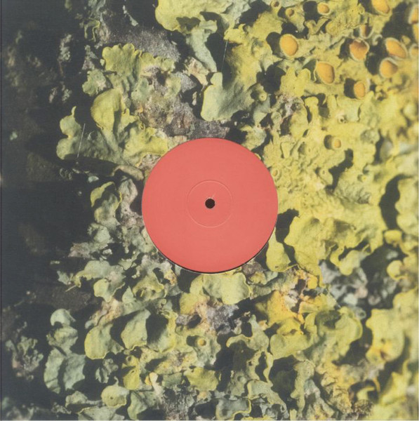 Sa Pa - The Fool | Short Span (SHORT 1)