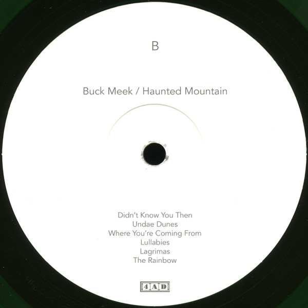 Buck Meek - Haunted Mountain | 4AD (4AD0601LP) - 3
