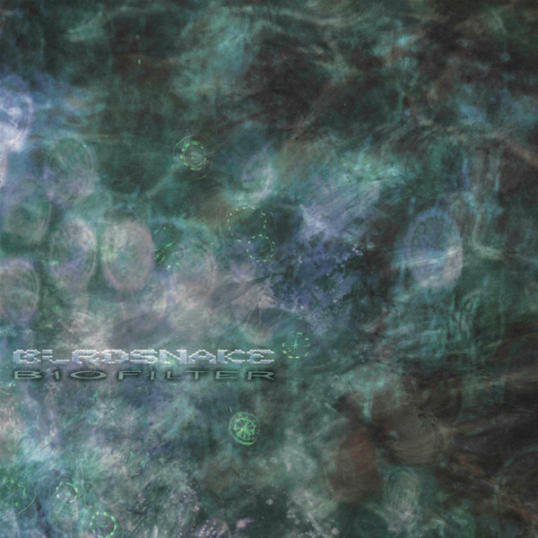 Birdsnake - Biofilter | Bathtub Music (BTM004) Birdsnake - Biofilter | Bathtub Music (BTM004)