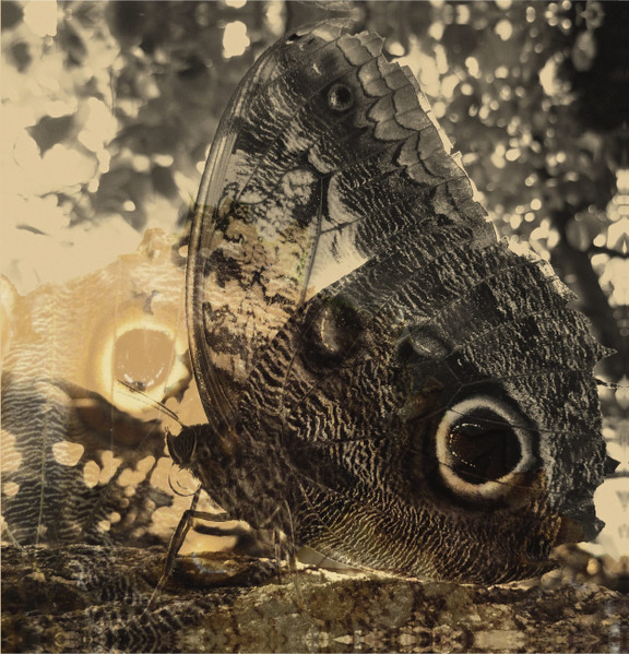 Louise Landes Levi - Ikiru Or The Wanderer | Oaken Palace Records (Oak-013)