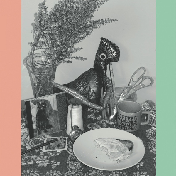 Vincent Over The Sink - 22 Coloured Bull Terriers | Another Dark Age (ADA004)