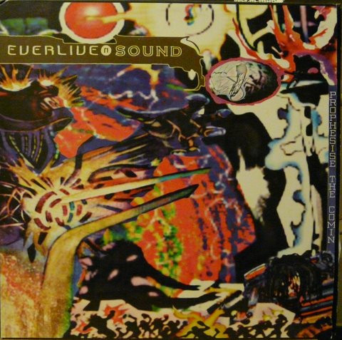 Everliven Sound - Prophesise The Comin | Sub Verse Music (SVM 11) Everliven Sound - Prophesise The Comin | Sub Verse Music (SVM 11)