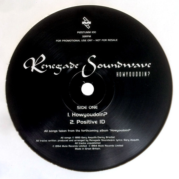 Renegade Soundwave - Howyoudoin? | Mute (P12STUMM 100) Renegade Soundwave - Howyoudoin? | Mute (P12STUMM 100)