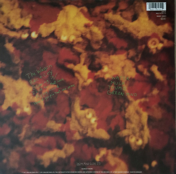 Dinosaur Jr. - Green Mind | Blanco Y Negro (BYN 24) - 2 Dinosaur Jr. - Green Mind | Blanco Y Negro (BYN 24) - 2