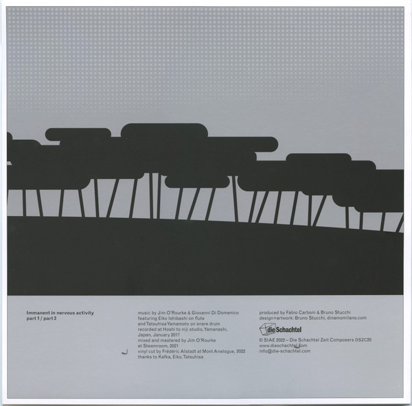 Jim O'Rourke / Giovanni Di Domenico - Immanent In Nervous Activity | Die Schachtel (DSZC20) - 2 Jim O'Rourke / Giovanni Di Domenico - Immanent In Nervous Activity | Die Schachtel (DSZC20) - 2