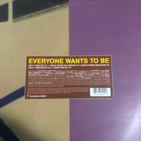 Ziggy Marley And The Melody Makers - Everyone Wants To Be | Elektra (7559-63920-0)