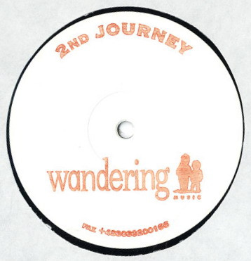 Tyche - Two Paths | wandering (wandering - 2nd journey) - 3