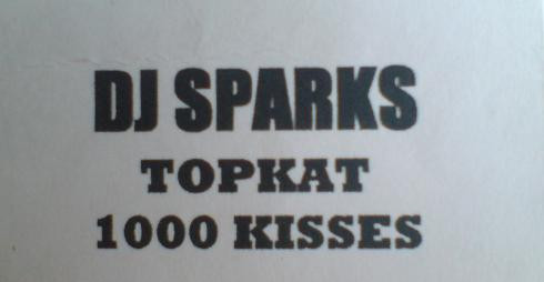 DJ Sparks - Topkat | Ecko Records (SPKS 01) - main