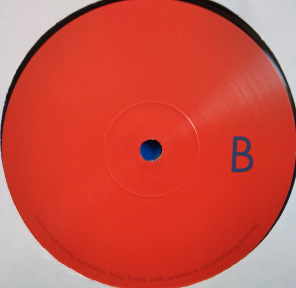 Siouxsie Sioux - Mantaray | Sioux Songs (SXS01 LPB) - 4
