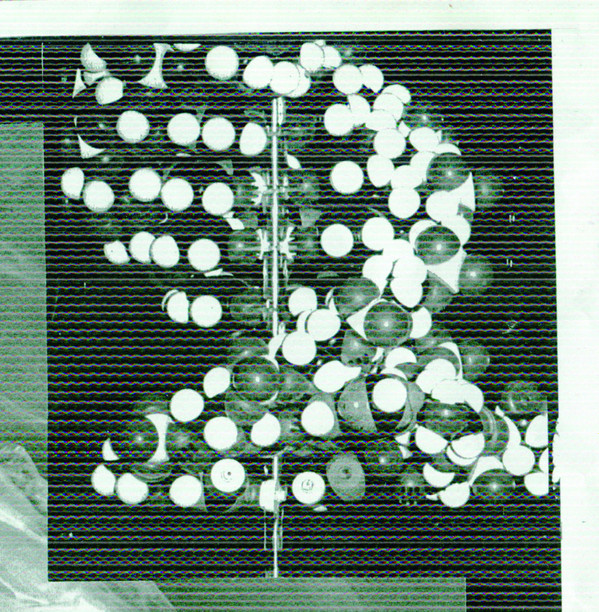 Smegma and L'Autopsie A Révélé Que La Mort Était Due A L'Autopsie - Transmissions Des Fluides | L'eau Des Fleurs (eaudesfleurs005)