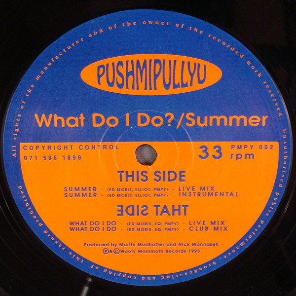 Pushmipullyu - What Do I Do? / Summer | Woolly Mammoth Records (PMPY 002)