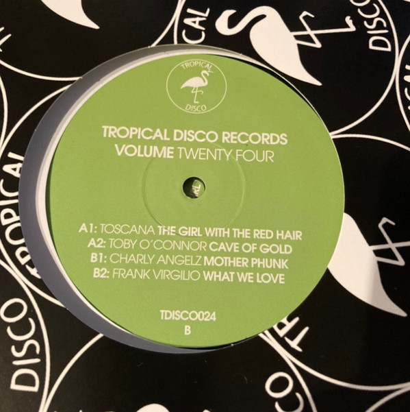 Various - Tropical Disco Records Volume Twenty Four | Tropical Disco (TDISCO024) - main