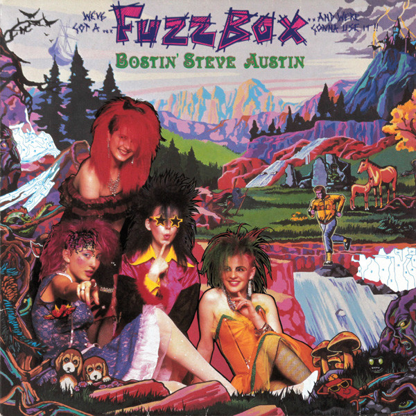 We've Got A Fuzzbox And We're Gonna Use It - Bostin' Steve Austin | Vindaloo Records (FBOX 1)