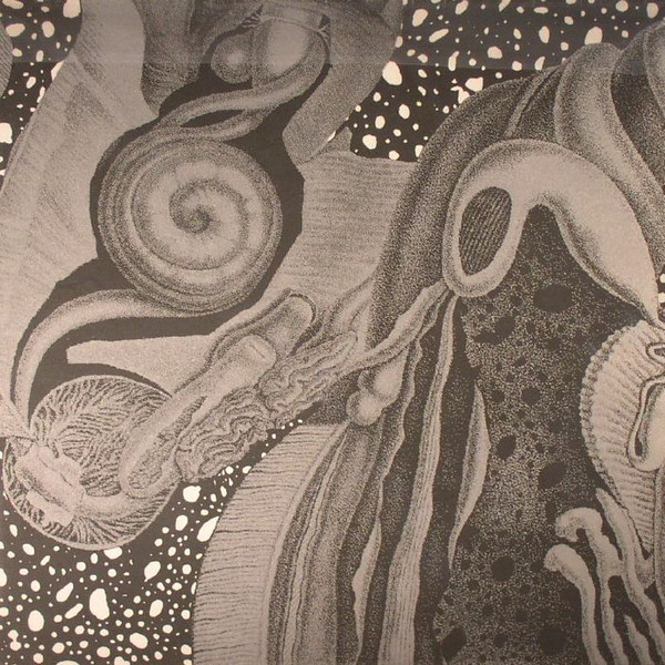 cv313 - Dimensional Space | echospace [detroit] (CV313LP) - 2