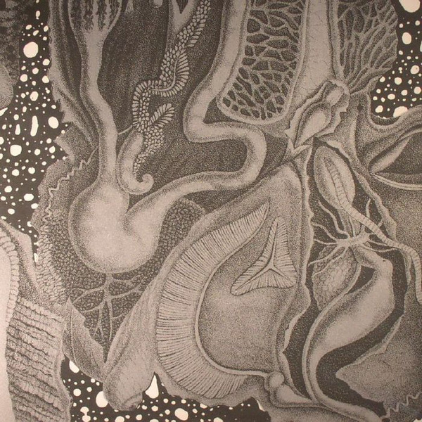 cv313 - Dimensional Space | echospace [detroit] (CV313LP)