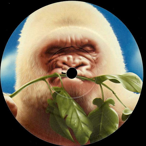 Basement Jaxx - Rooty | XL Recordings (XLLP143) - 5