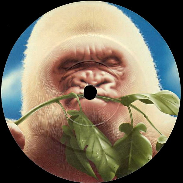 Basement Jaxx - Rooty | XL Recordings (XLLP143) - 7