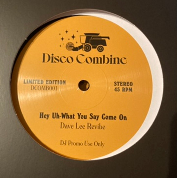 Roy Ayers / Slave - Hey Uh-What You Say Come On / Steal Your Heart | Disco Combine (DCOMB001)