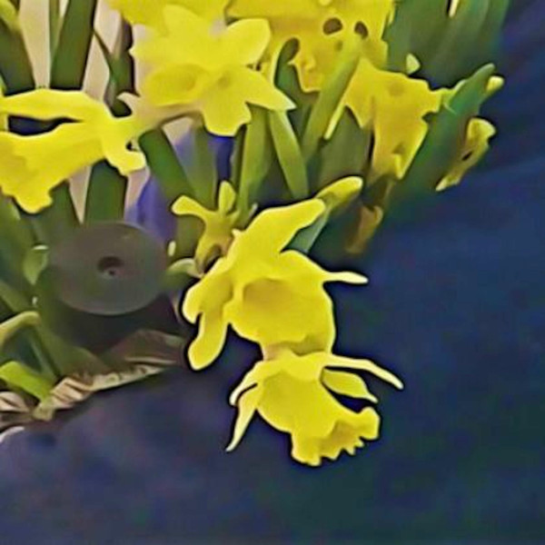 Dean Blunt & Elias Bender Rønnenfelt - Lucre | World Music (WMG090V) - main