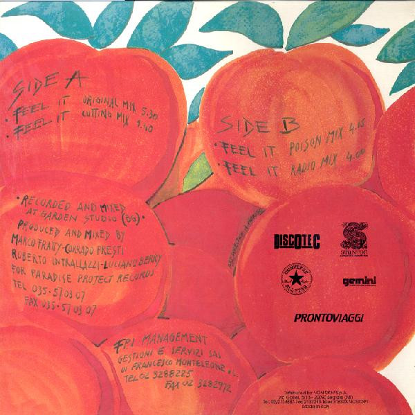 FPI Project - Feel It | Paradise Project Records (PPR 017) - 2