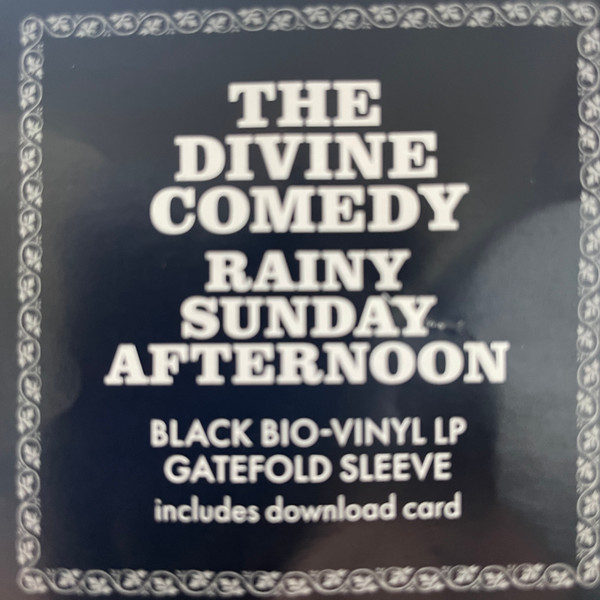 The Divine Comedy - Rainy Sunday Afternoon | Divine Comedy Records Limited (DCRL123LPX) - 2