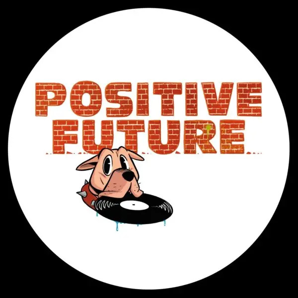 DMC - Introspection EP | Positive Future Music (PF009)