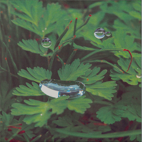 Cousin - Homesoon | Mood Hut (MH031)