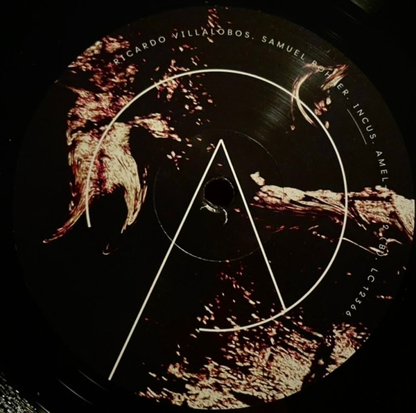 Ricardo Villalobos , Samuel Rohrer - Microgestures | Arjunamusic (AMEL-LP722) - 3