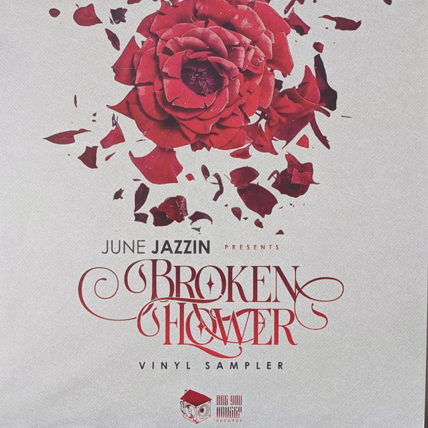 Various - Broken Flower (Vinyl Sampler) | Are You House? Records (AYHR0060)