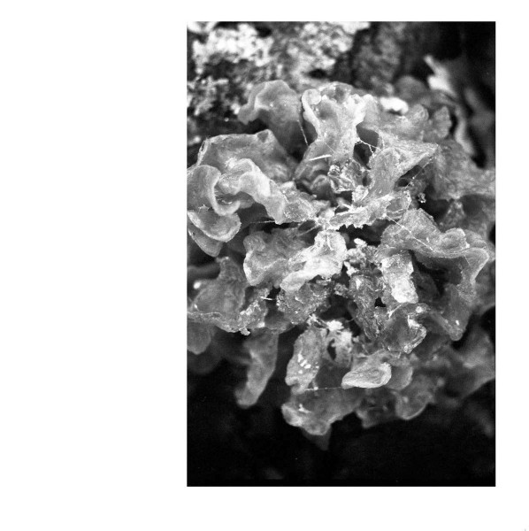 ˈkɑːmos - ˈkɑːmos | Aspen Edities (Aspen 008)