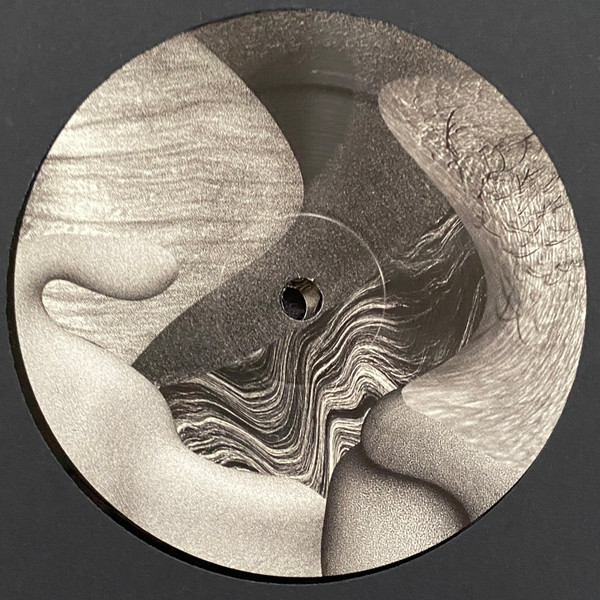 Various - Music For The Wilted Generation | Earwiggle (EAR030) - 3