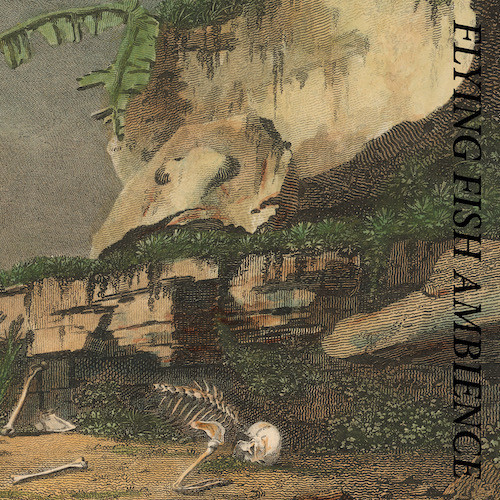 Rainforest Spiritual Enslavement - Flying Fish Ambience | Hospital Productions (HOS-670) - main