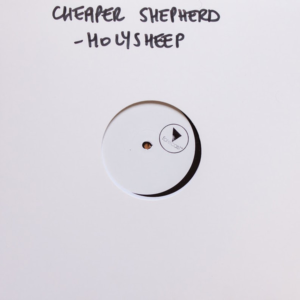 Cheaper Shepherd - Holysheep | forecast label (FRCST006)