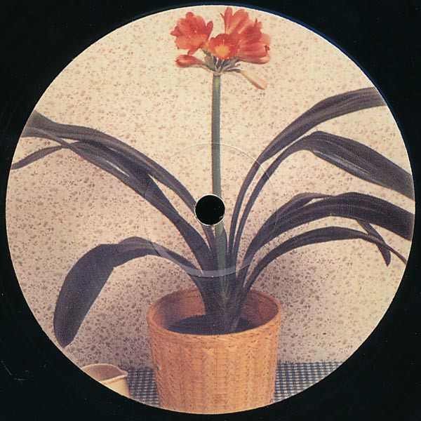 Takaaki Itoh - Nobody Can Take What Everybody Owns | Wols (WOLS 02)