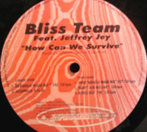 Bliss Team - How Can We Survive | Inprogress (INX1110) - 3