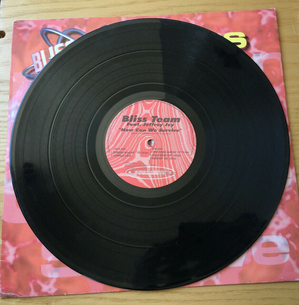 Bliss Team - How Can We Survive | Inprogress (INX1110) - 7