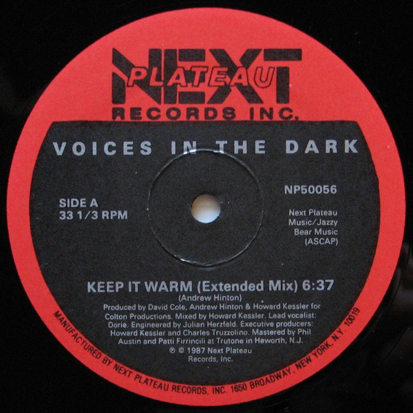 Voices In The Dark - Keep It Warm | Next Plateau Records Inc. (NP50056)