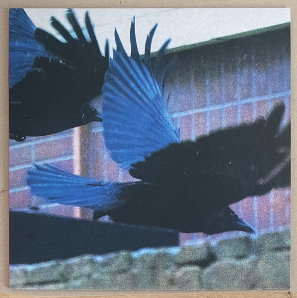 Rain Text - III | Sagome (SGM007)