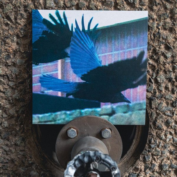 Rain Text - III | Sagome (SGM007) - 2