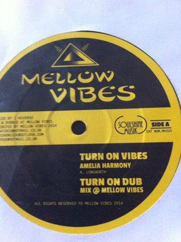 Amelia Harmony / Raphaelia - Turn On Vibes / Life So Serious | Mellow Vibes (MV505) - 4
