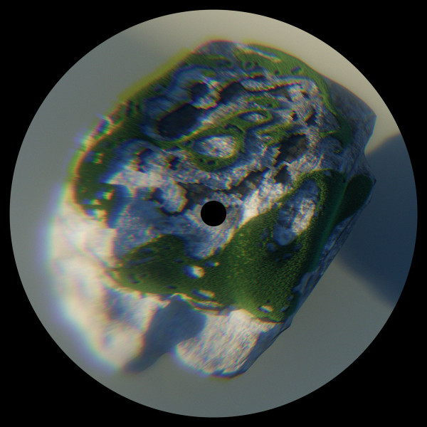 Tifra - Caledonia EP | Neptune Discs (ND034) - 2