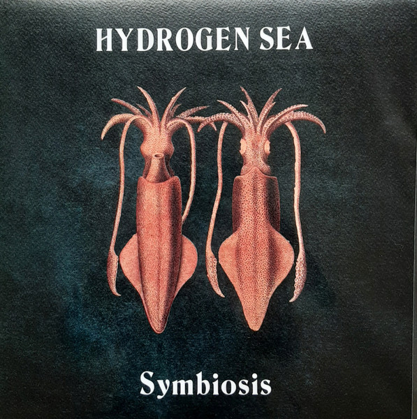 Hydrogen Sea - Symbiosis | Unday Records (UNDAY128EP) Hydrogen Sea - Symbiosis | Unday Records (UNDAY128EP)