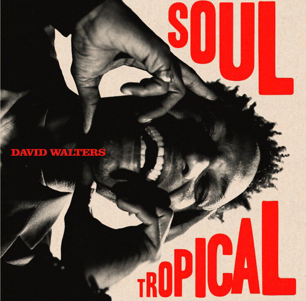 David Walters - Soul Tropical | Heavenly Sweetness (HS238VL)