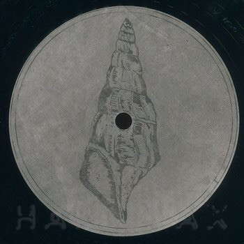 Voiski & Roberto - Calyptraphorus Velatus | Fossil Archive (FAUK004)