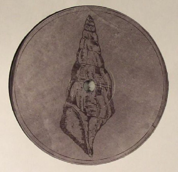 Voiski & Roberto - Calyptraphorus Velatus | Fossil Archive (FAUK004) - 2