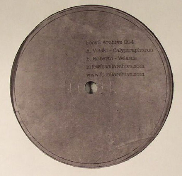 Voiski & Roberto - Calyptraphorus Velatus | Fossil Archive (FAUK004) - 3