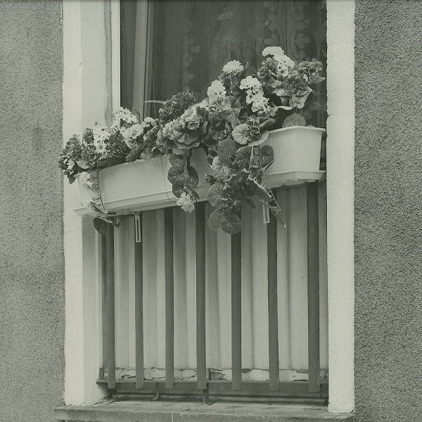 Pupkulies & Rebecca Feat. Tibau Tavares - Wolde | Acker Records (ACKER RECORDS 41)