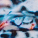 Shoal - Temporal Blend | Animalia (ANIMA16)