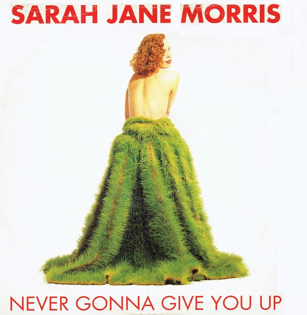 Sarah Jane Morris - Never Gonna Give You Up | Virgin (VINX 267)